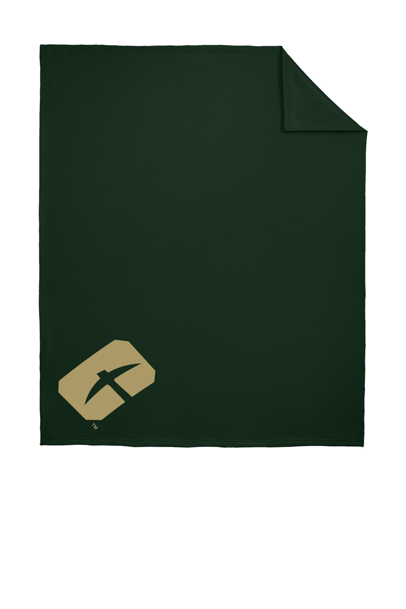 UNC Charlotte 49ers Prime Logo Comfortable Stadium Fleece Throw Blanket 50x60